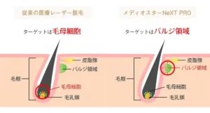 メディオスター バジル領域